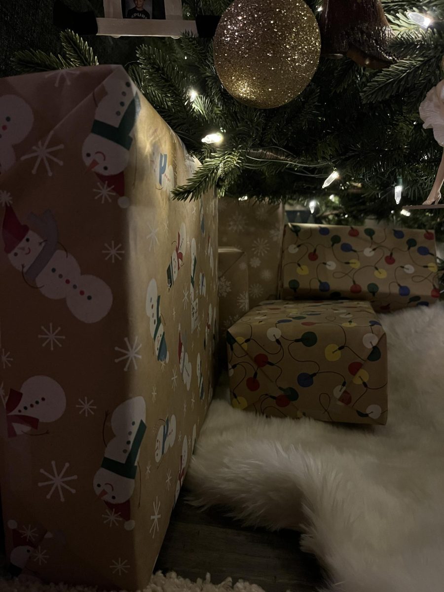 Perfectly wrapped gifts piled under the Christmas tree waiting to be opened. 