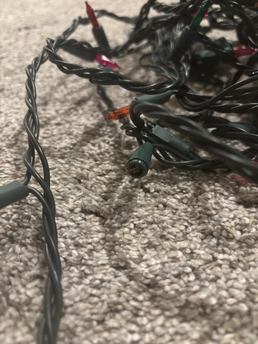 A photo of a broken Christmas light bulb, the most common damage to a  Christmas light set during decoration removal and storage. 