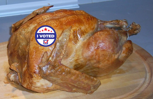 A photo of a turkey with an I voted sticker, symbolizing the the clash of election day and Thanksgiving being around the same time.

