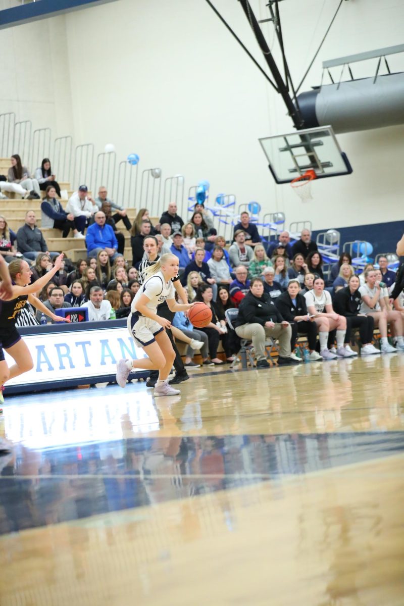 Kaylee Mowen faces off against Dewitt amidst a close game on senior night.
Photo Credit: Maureen Dyer