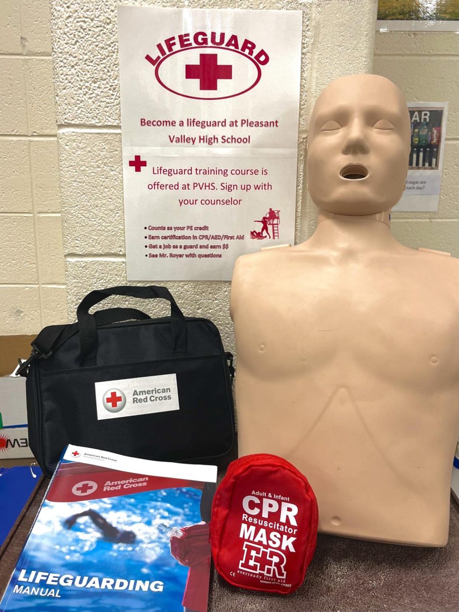 A wide variety of equipment is used in the lifeguard training course in order to train future lifeguards in the most effective way possible.