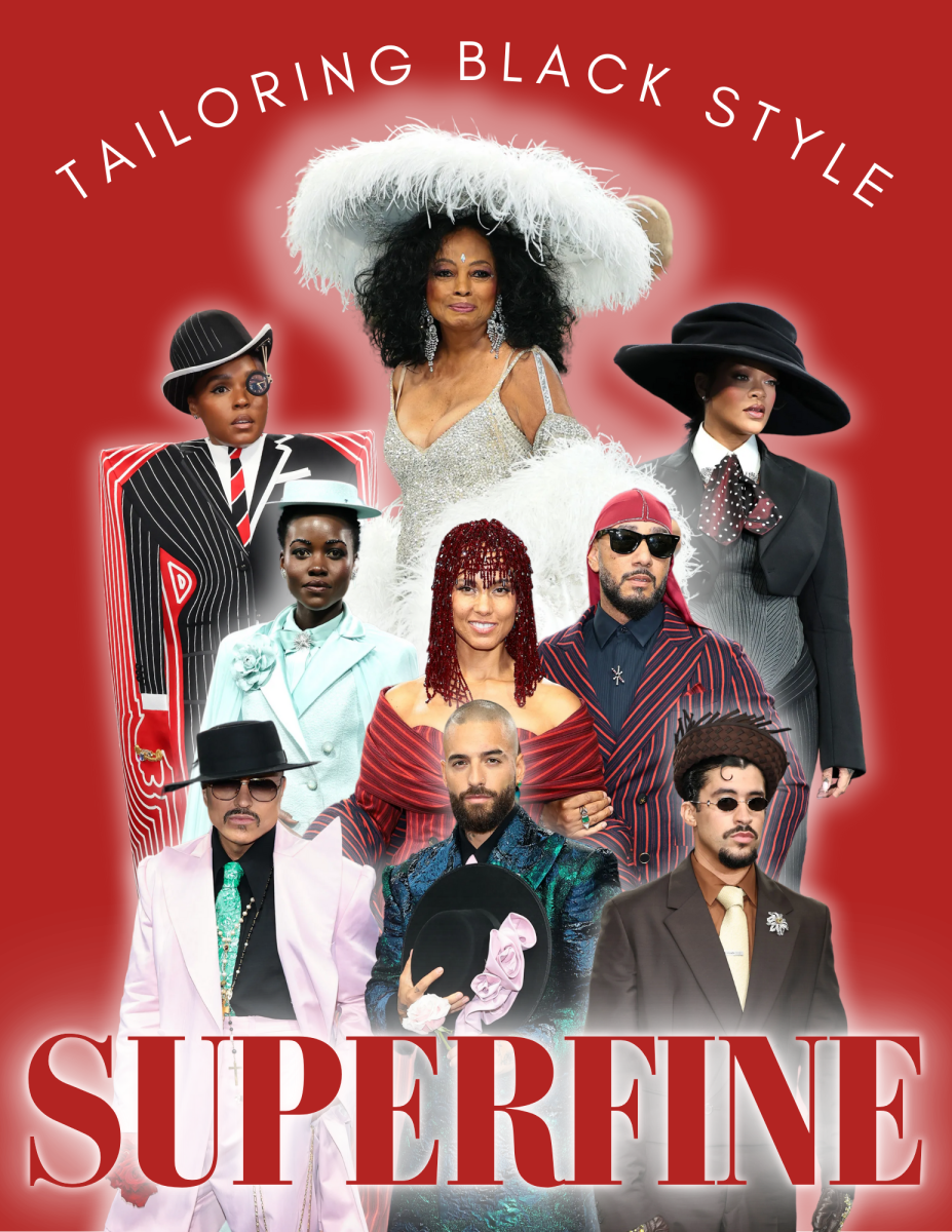 Various looks graced the red carpet at the 2025 Met Gala, celebrating the collection's theme, "Superfine: Tailoring Black Style". Photos gathered from coverage by Vanity Fair, and arranged in an original graphic.