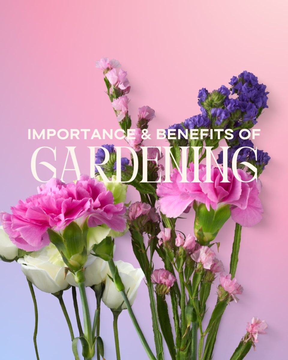 The importance and benefits of gardening are often overlooked. From mental health, exercise, and more, gardening can benefit people.