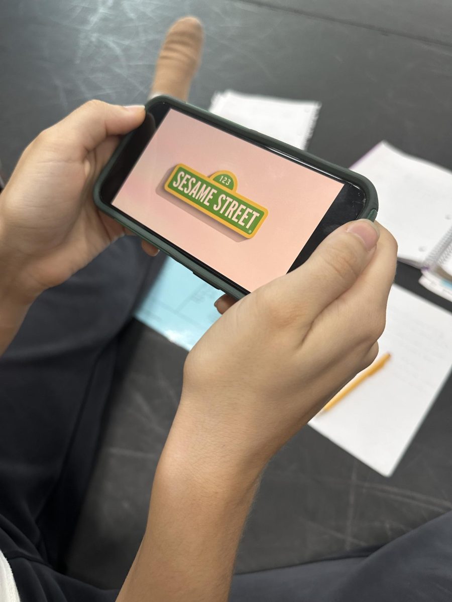A student watches Sesame Street on PBS.